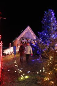 IMG_1372.JPG